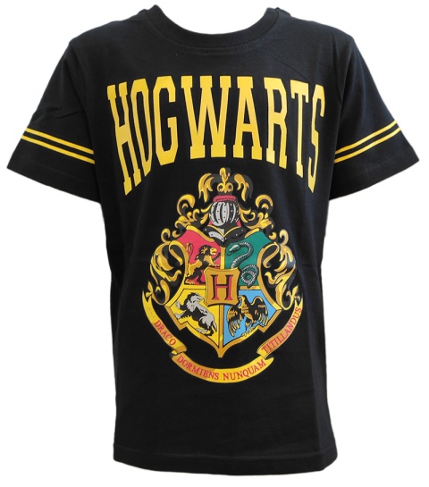 T-Shirt Harry Potter (158/13Y)