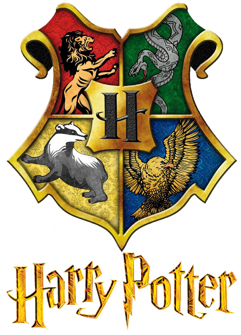 T-Shirt Harry Potter (158/13Y) T-Shirt Harry Potter (158/13Y)