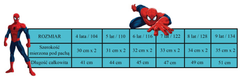 Bluzka z długim rękawem Spider-Man (110/5Y) Bluzka z długim rękawem Spider-Man (110/5Y)