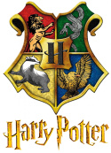 Walizka na kółkach Harry Potter