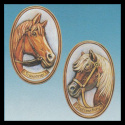 Obrazki konie