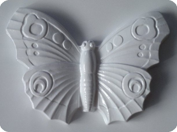 Motyl Motyl