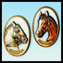 Obrazki konie