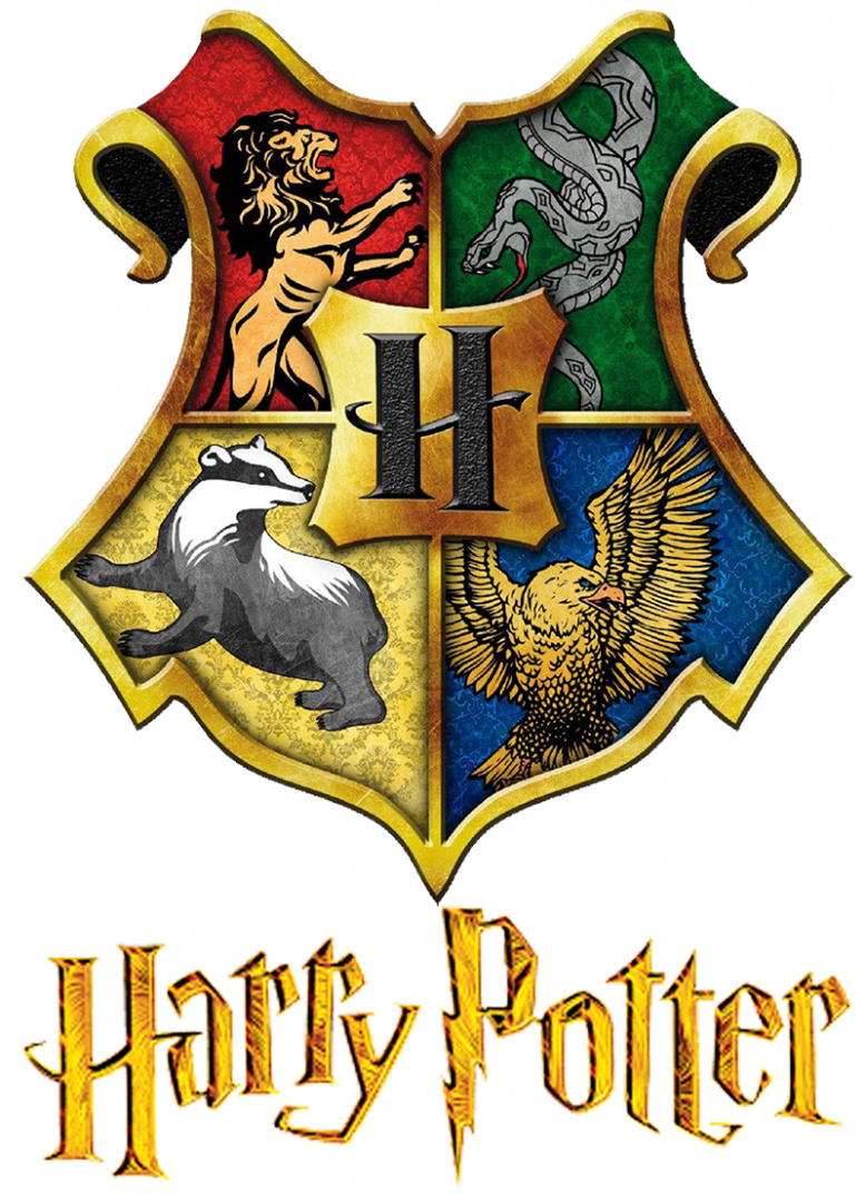 Bluzka z długim rękawem Harry Potter (146/11Y)