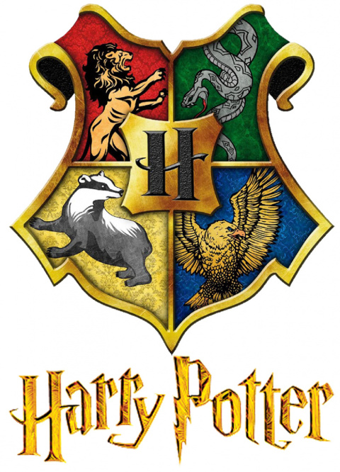 T-Shirt Harry Potter (140/10Y) T-Shirt Harry Potter (140/10Y)