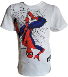 T-Shirt Spider-Man (110/5Y)