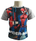 T-Shirt Spider-Man (104 / 4Y)